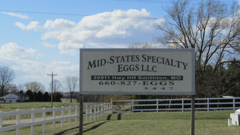 Mid-States Specialty Eggs tracking large numbers of special eggs with Ovotrack