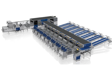 Connecting Ovotrack to Your grading machine