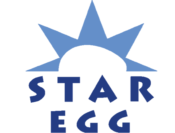 Star Egg