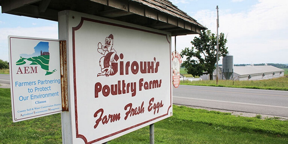 Estudo de caso Giroux's Poultry está etiquetando muitas caixas com a