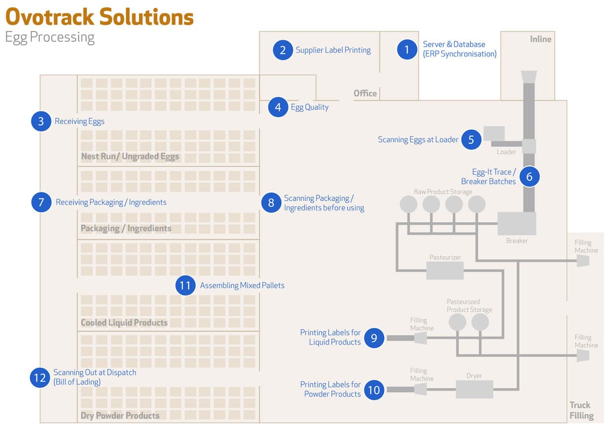 Ovotrack Solutions Egg Processing