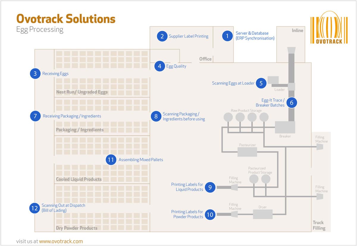 Ovotrack Solutions Egg Processing