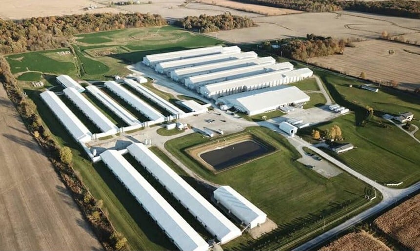 MPS Egg Farms Manchester