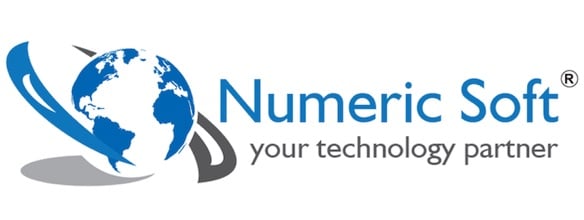 Numeric Software logo