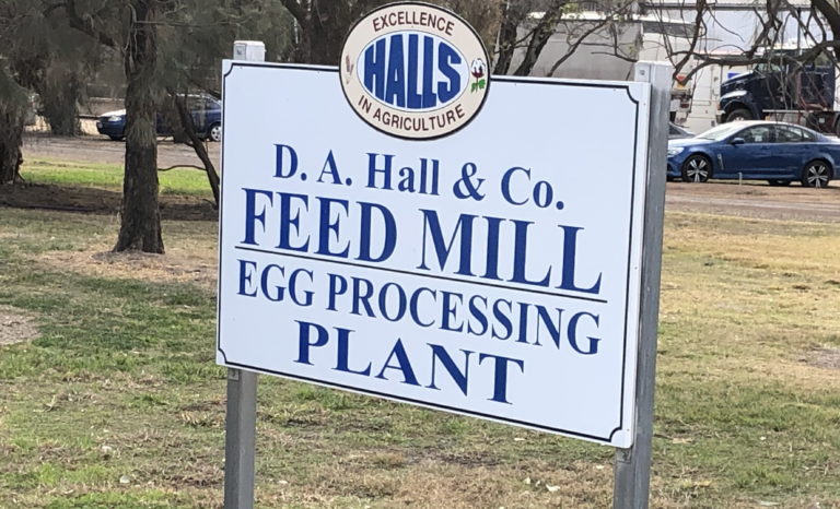 D.A. Hall Egg Processing Plant
