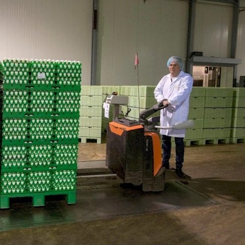 Weighing Eggs